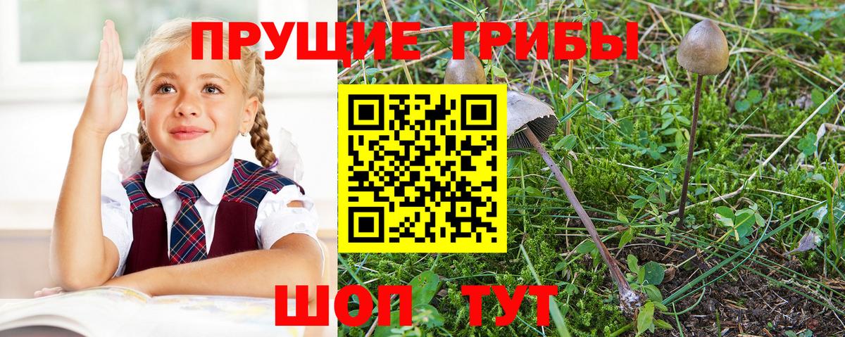 Галлюциногенные грибы мухоморы Димитровград