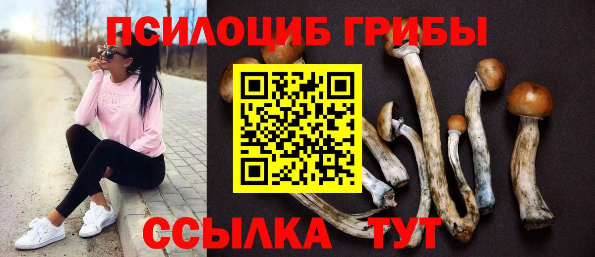 Галлюциногенные грибы Cubensis  Псилоцибиновые грибы Psilocybine cubensis  Вход с VPN  Димитровград 